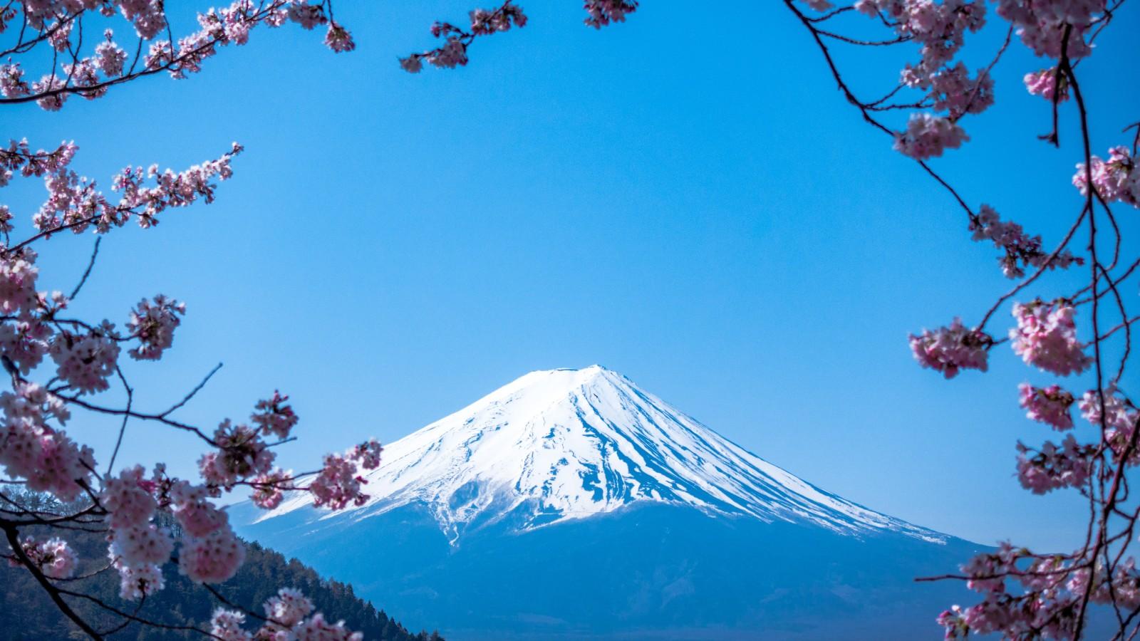 日本經營管理簽證